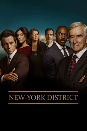 New York, police judiciaire saison 23