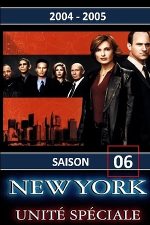 New York : Unité spéciale saison 6