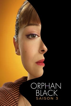 Orphan Black Saison 3 Episode 5