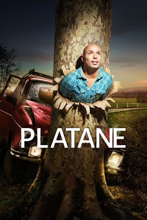 Regarder Platane en Streaming