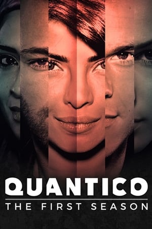 Quantico saison 1