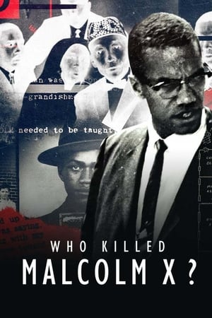 Qui a tué Malcolm X ? saison 1