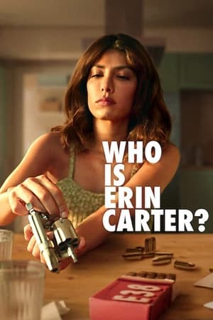 Qui est Erin Carter? saison 1