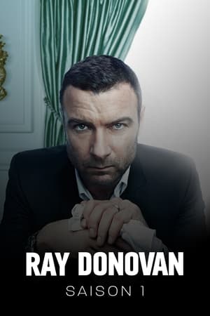 Ray Donovan saison 1