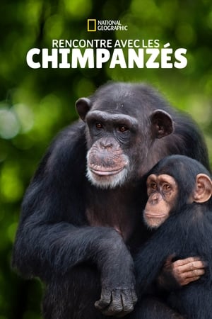 Regarder Rencontre avec les Chimpanzés en Streaming