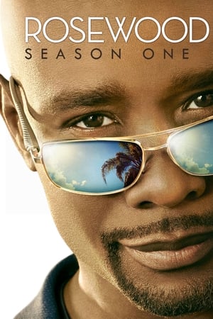 Rosewood saison 1