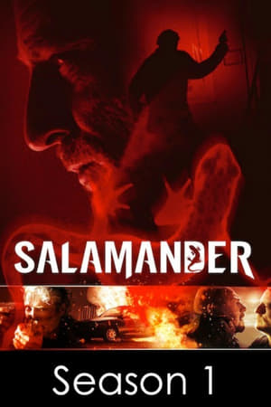 Salamandre saison 1