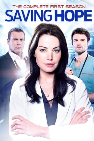 Saving Hope : au-delà de la médecine saison 1