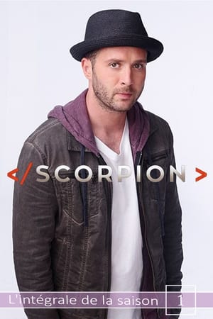 Scorpion saison 1