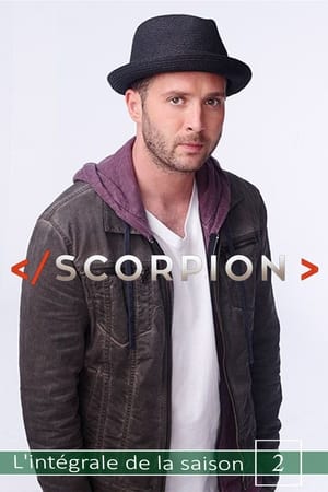 Scorpion saison 2