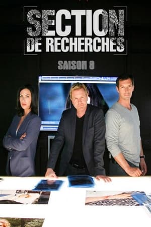 Section de recherches saison 8