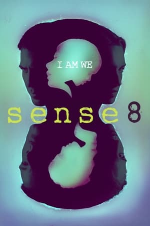 Sense8 saison 1