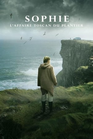 Regarder Sophie : L'affaire Toscan du Plantier en Streaming