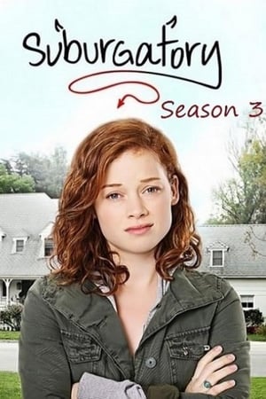 Suburgatory saison 3