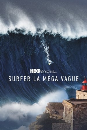 Regarder Surfer la méga vague en Streaming