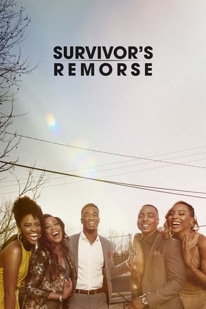 Regarder Survivor's Remorse en Streaming