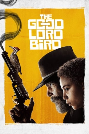 The Good Lord Bird saison 1