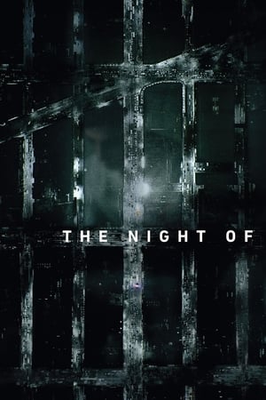 The Night Of saison 1