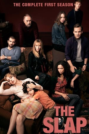 The Slap Saison 1 Episode 5