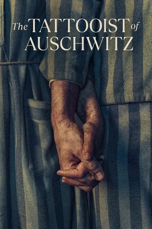 The Tattooist of Auschwitz Saison 1 Episode 5