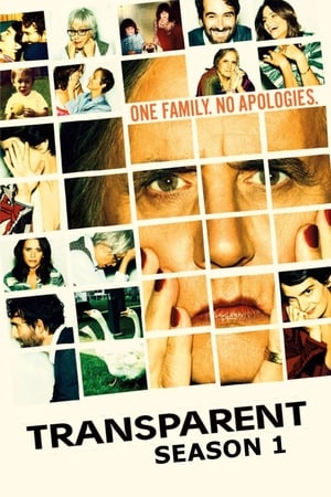 Transparent saison 1