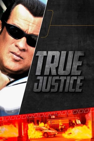 Regarder True Justice en Streaming