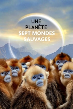 Une planète, sept mondes sauvages Saison 1 Episode 5