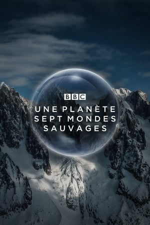 Regarder Une planète, sept mondes sauvages en Streaming