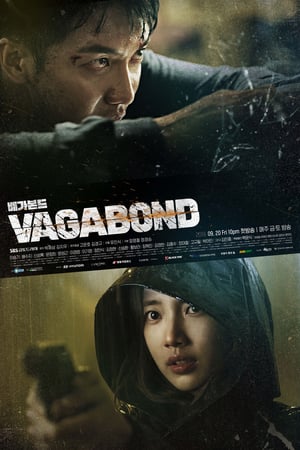 Regarder Vagabond en Streaming