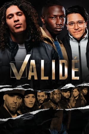 Regarder Validé en Streaming