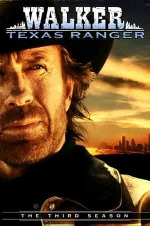 Walker, Texas Ranger saison 3