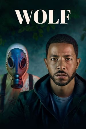 Regarder Wolf en Streaming