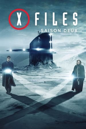 X-Files - Aux frontières du réel Saison 2 Episode 5