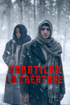 Regarder Yaratilan : La créature en Streaming