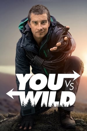 You vs. Wild Saison 1 Episode 5